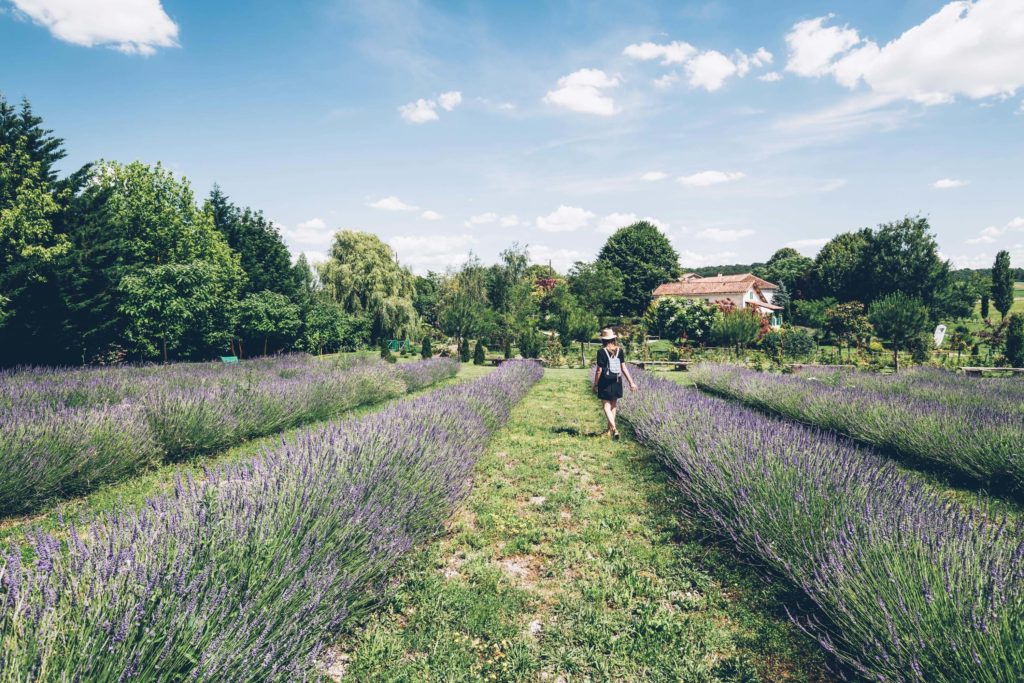 Les jardins du coq