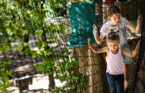 Escal'arbre à Taizé Aizie